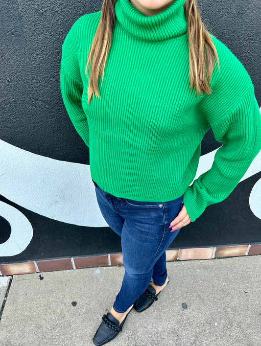 Green with Envy Turtleneck sweater